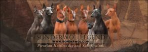 Hairless Dogs of Sonderwol Legend 12